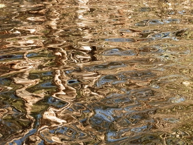 Melaleuca Reflections
