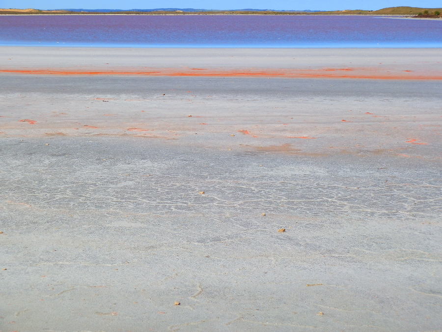 Pink Lake Patterns along the Coorong, South Australia