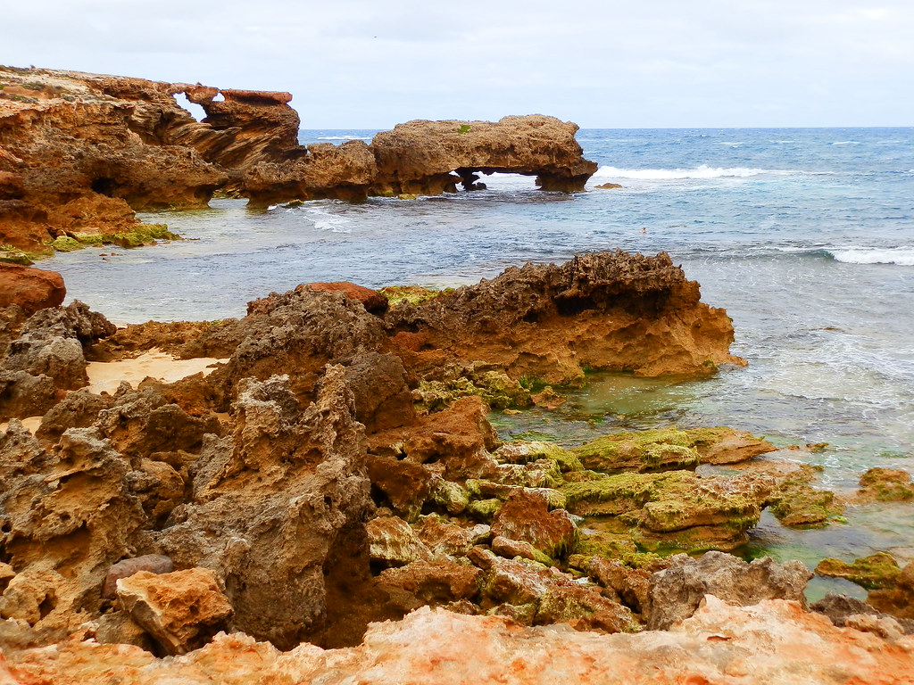 Nora Creina Coastline, Limestone Coast Attractions, South Australia