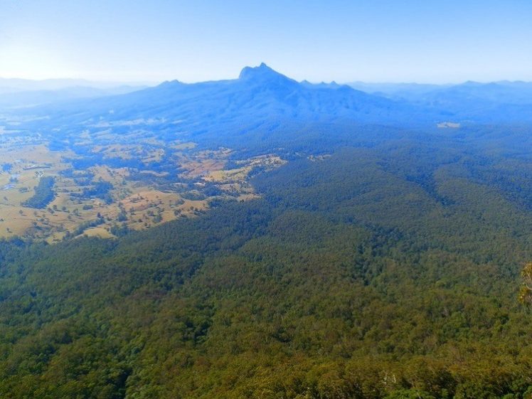 Mt Warning from Blackbutts Lookout