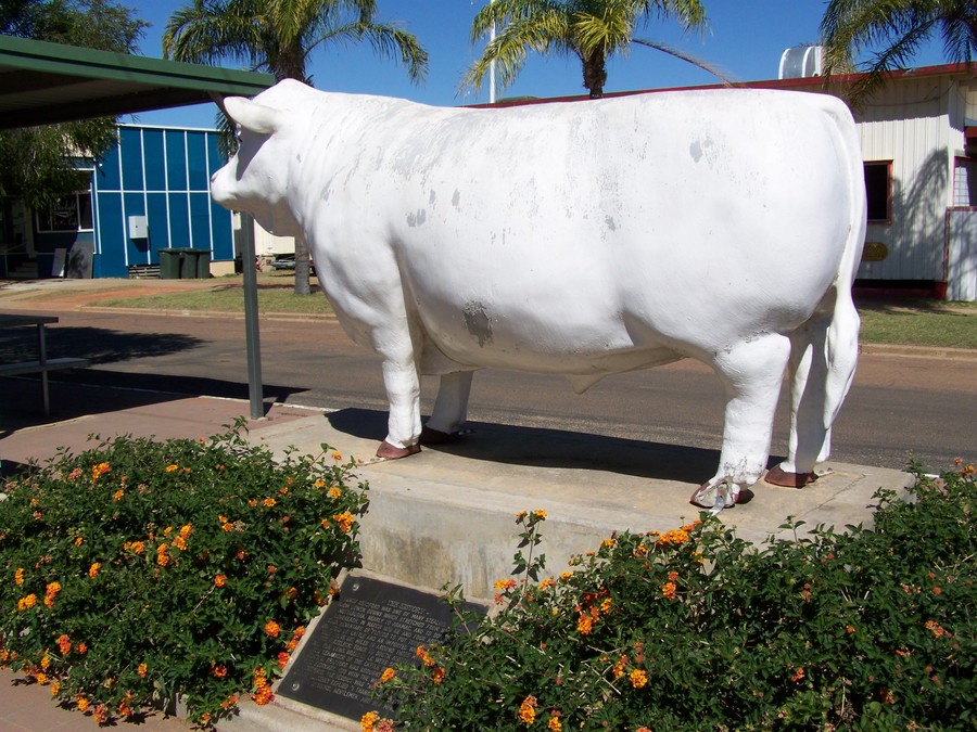 The White Bull, Aramac, Queensland