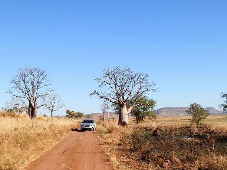 Driving to Marlgu Billabong, Kimberley, Western Australia