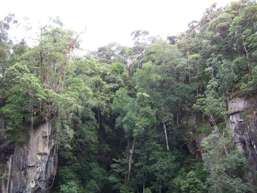 Mt Hypipamee Crater Rim, Atherton Tableland, Far North Queensland