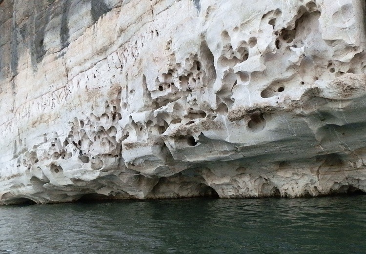 Geikie Gorge Limestone