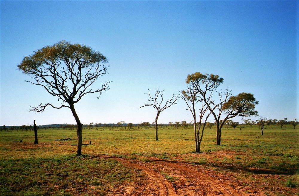 Outback Scenery, Quilpie, Queensland