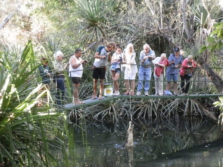 Feeding the freshies at Timber Creek, Northern Territory