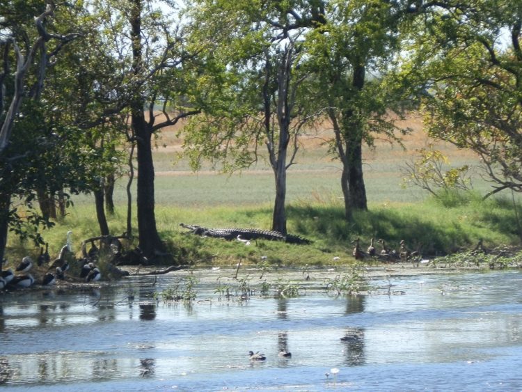 On the banks at Marlgu Billabong