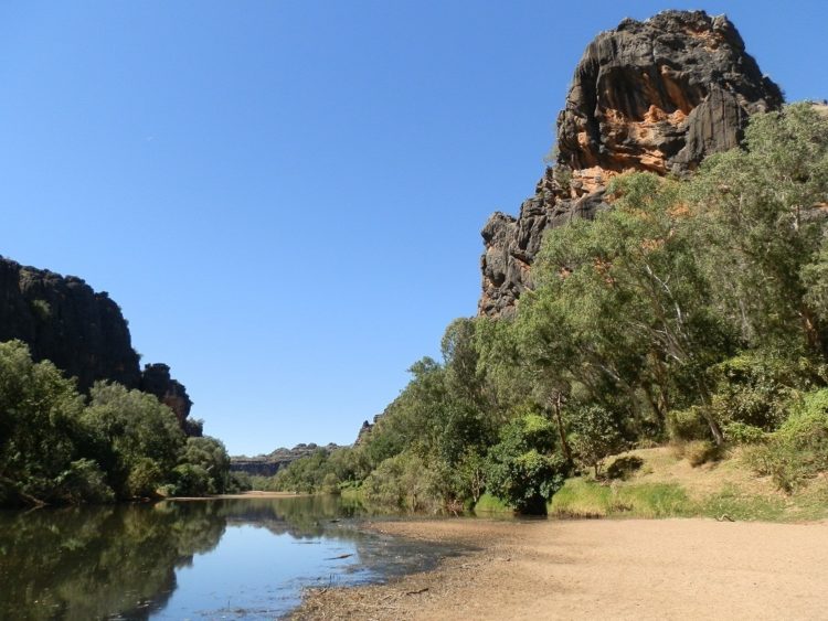 No, those aren't logs in the water ... Windjana Gorge, WA